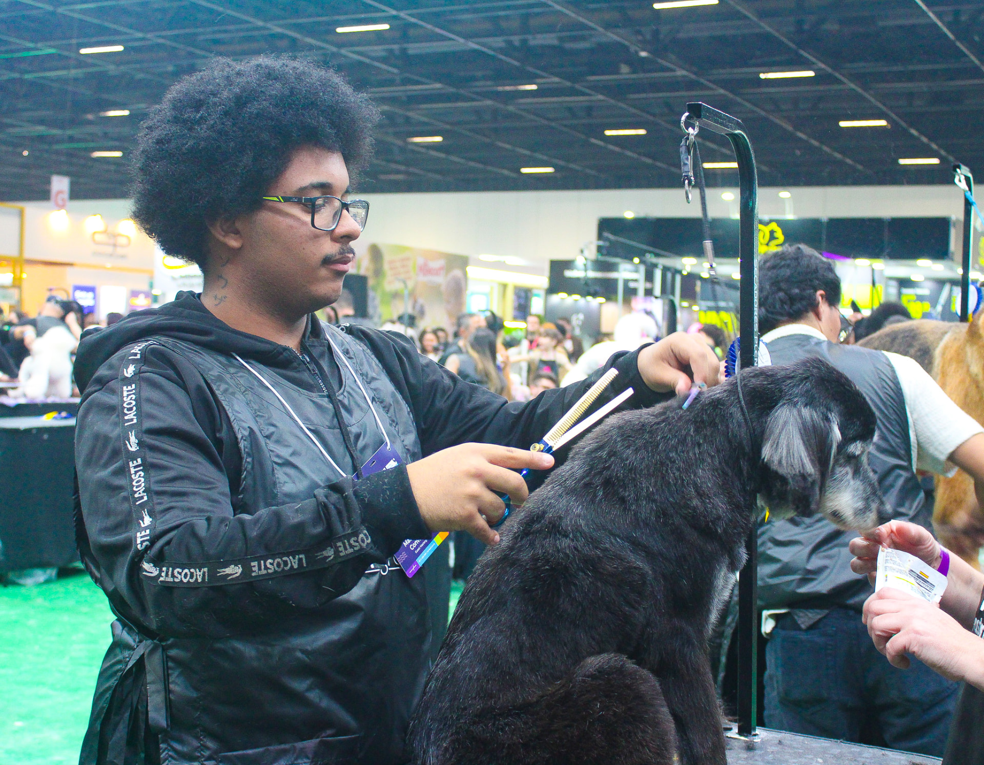 Roger tosando um cão durante competição